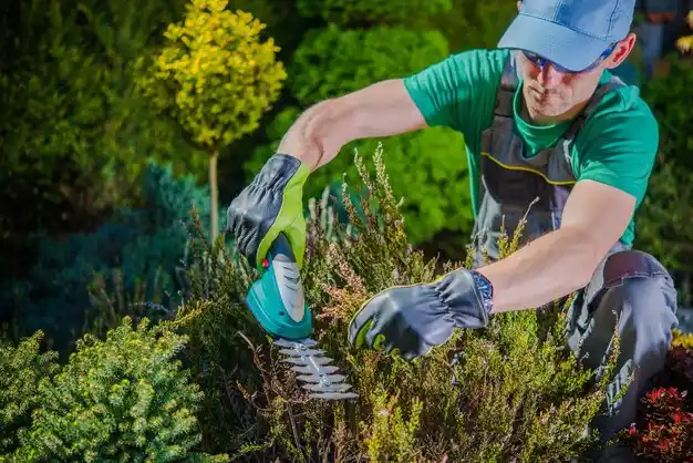 landscaping services Wyandotte